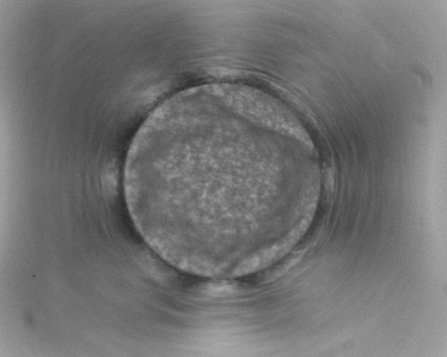 X0000115510668200911271432