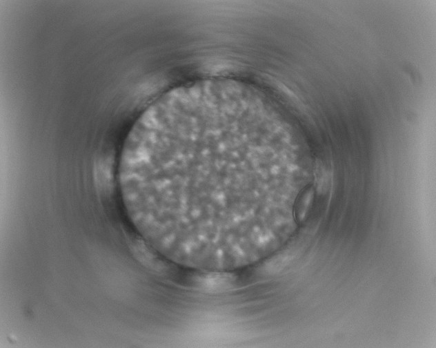 X0000115510670200911271432