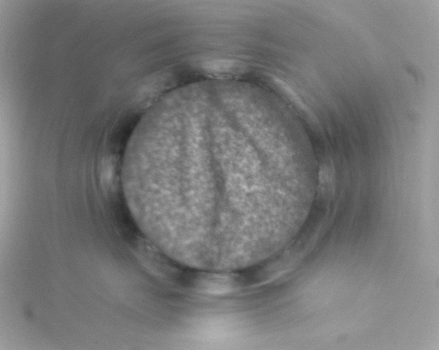 X0000115510671200911271432