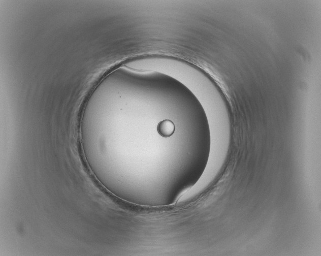 X0000115510673200911271431