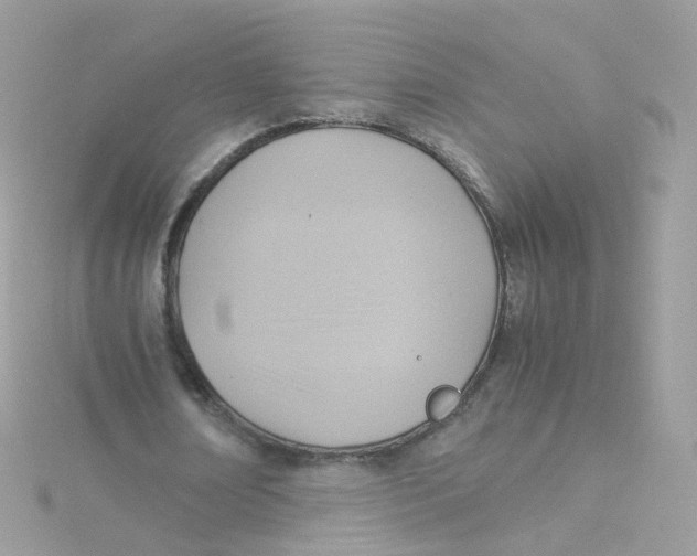 X0000115510674200911271431