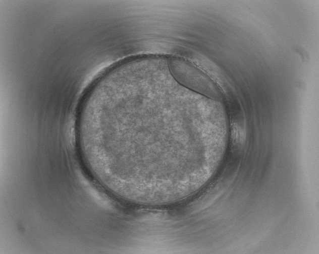 X0000115510676200911271431