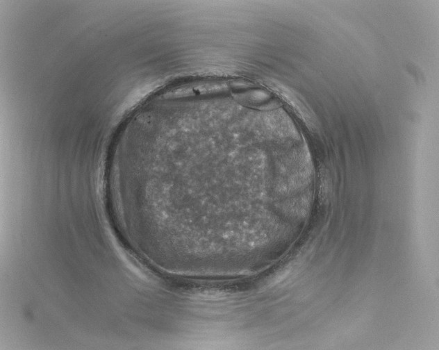 X0000115510677200911271431