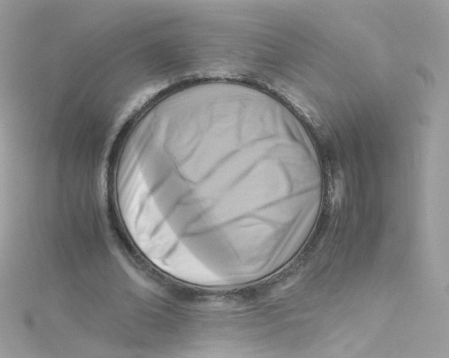 X0000115510678200911271431