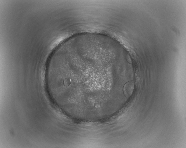 X0000115510679200911271431