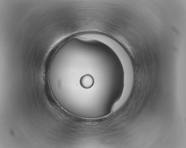 X0000115510680200911271431