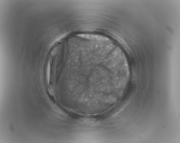 X0000115510681200911271431