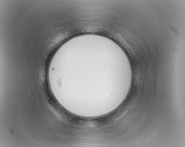 X0000115510683200911271431