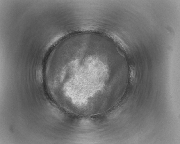 X0000115510684200911271431