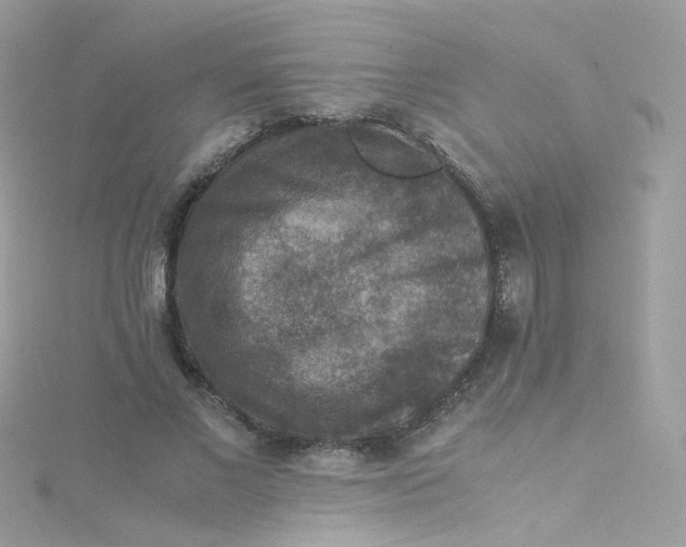 X0000115510685200911271431