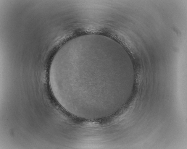 X0000115510689200911271431