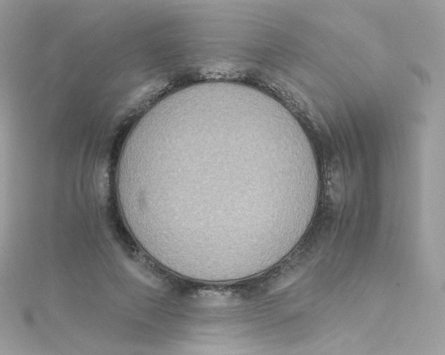 X0000115510690200911271431