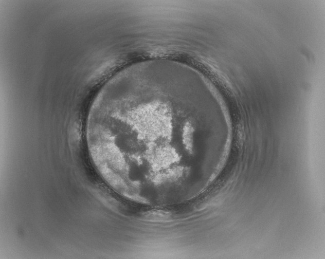 X0000115510691200911271431