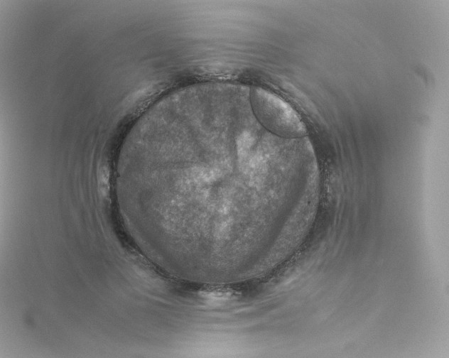 X0000115510693200911271431