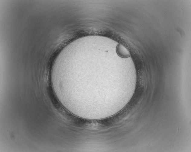 X0000115510695200911271431