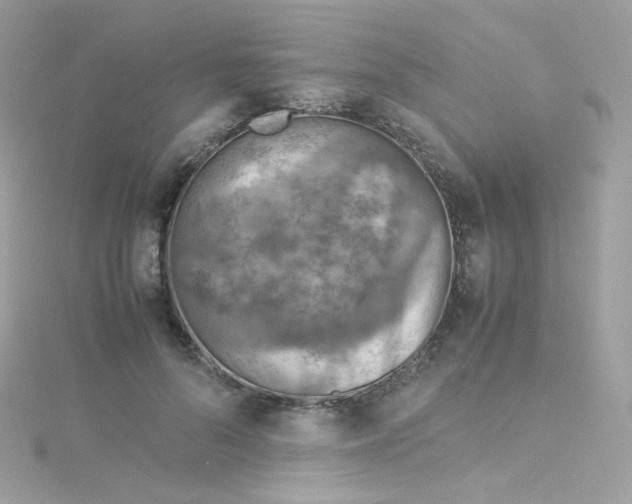 X0000115510696200911271431