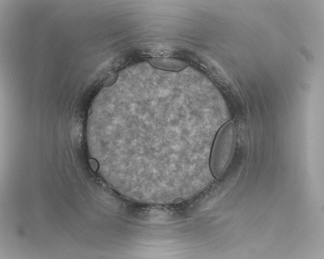 X0000115510697200911271431