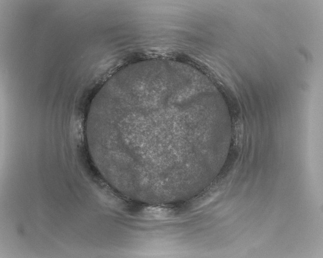 X0000115510699200911271431