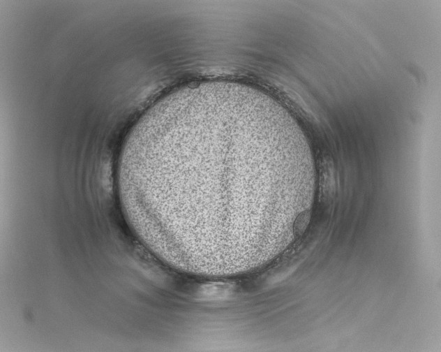 X0000115510700200911271431