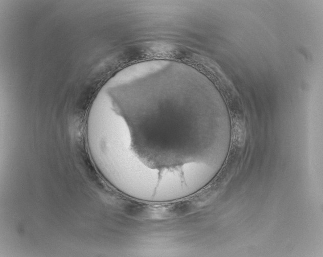 X0000115510701200911271431