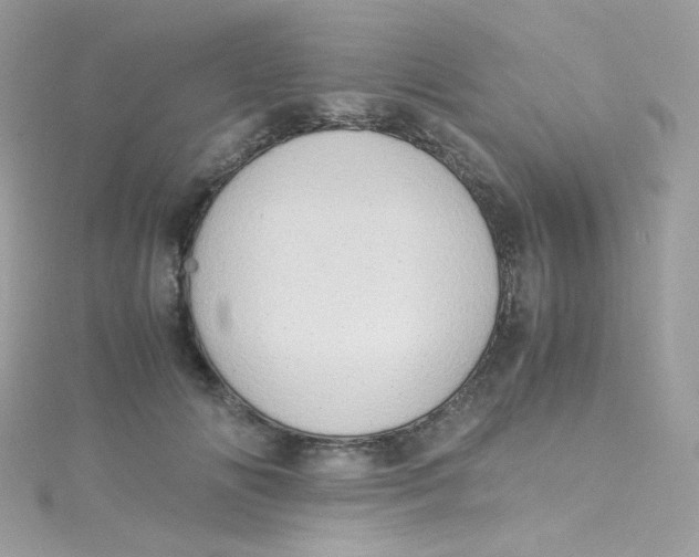 X0000115510702200911271431