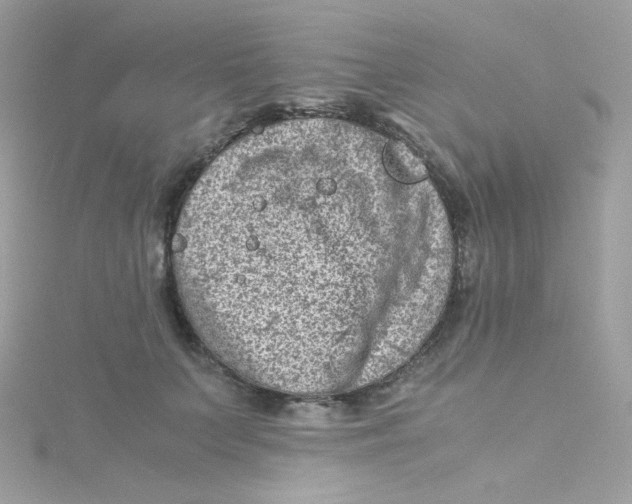 X0000115510703200911271431