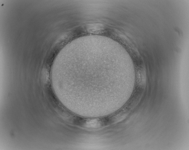 X0000115510705200911271431