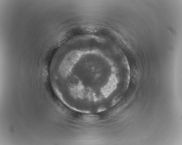 X0000115510707200911271431