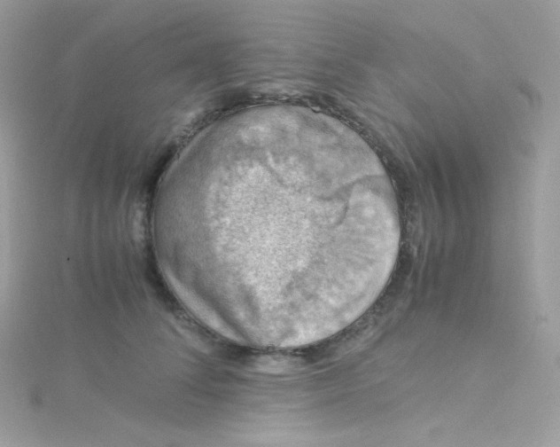 X0000115510708200911271431