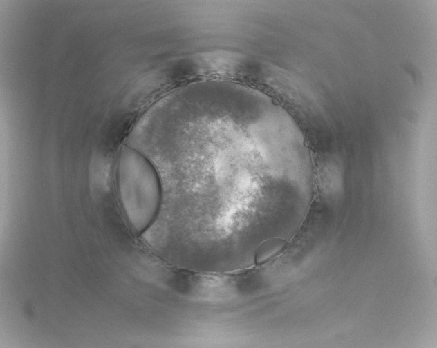 X0000115510709200911271431