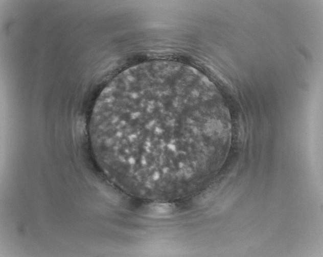 X0000115510711200911271431