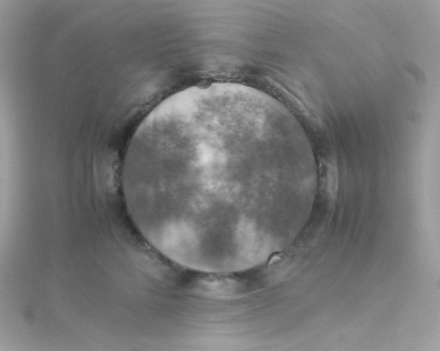 X0000115510712200911271431