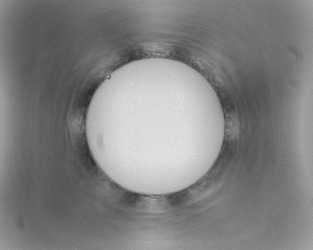 X0000115510713200911271431