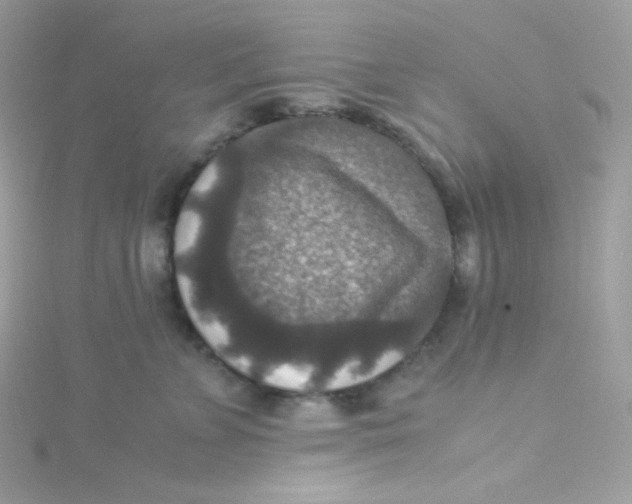 X0000115510715200911271431