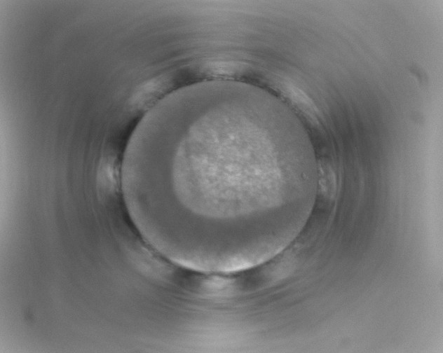 X0000115510718200911271431