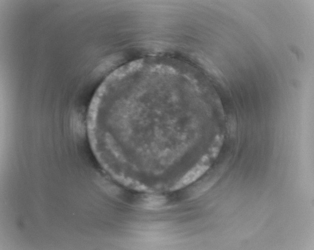 X0000115510719200911271431