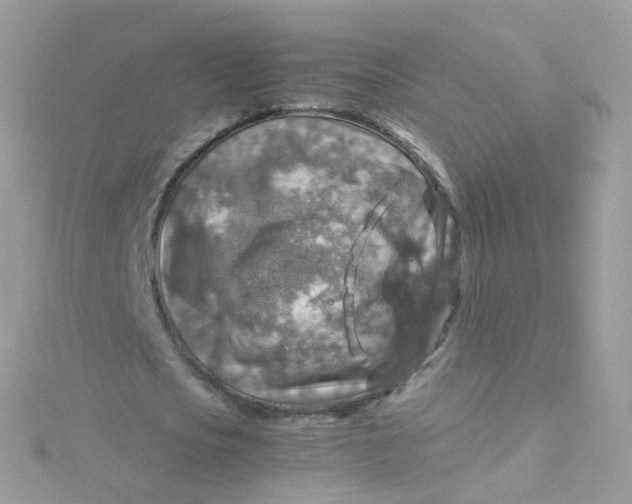 X0000115510721200911271430