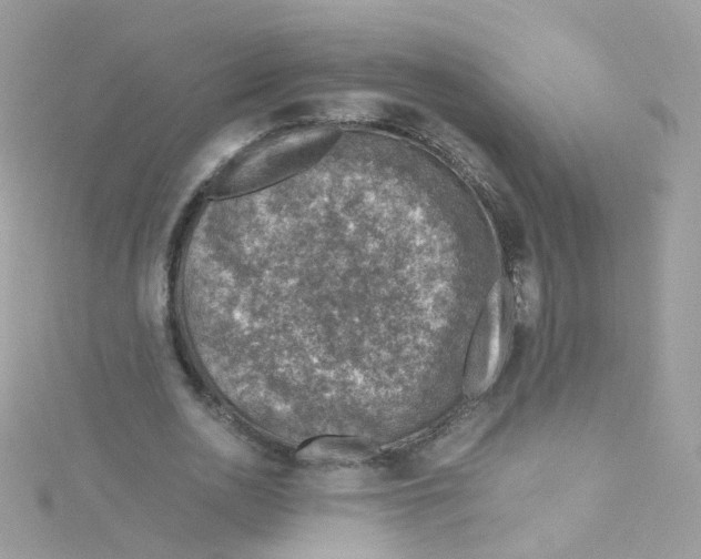 X0000115510726200911271430