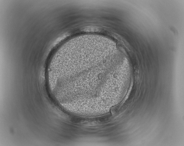 X0000115510727200911271430