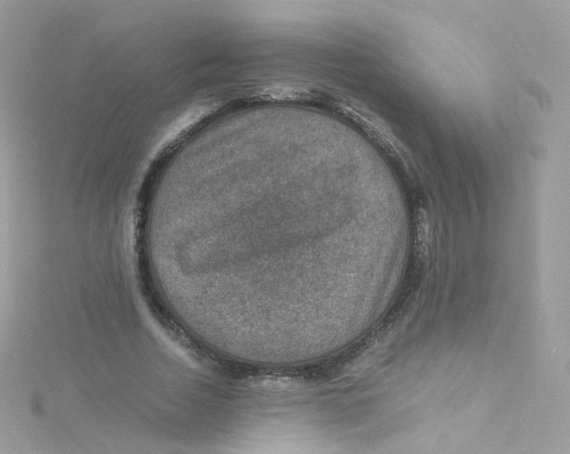 X0000115510730200911271430