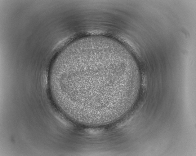 X0000115510733200911271430