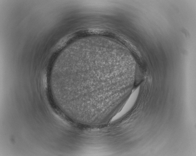 X0000115510734200911271430