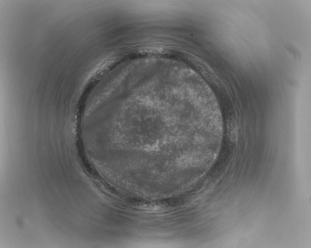 X0000115510735200911271430