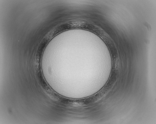 X0000115510737200911271430