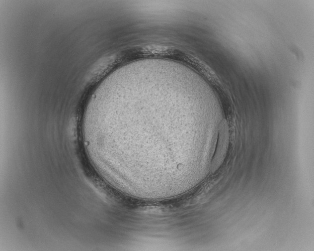 X0000115510738200911271430