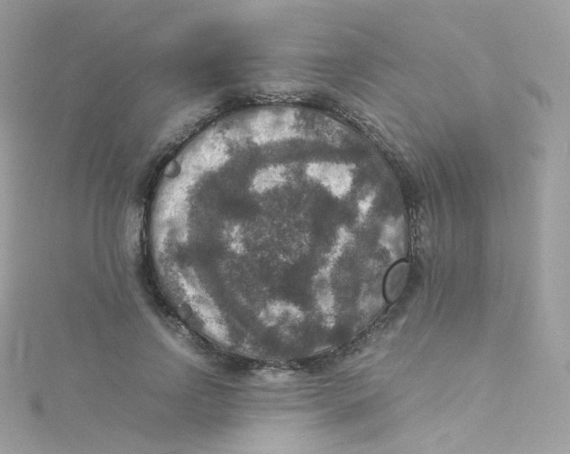 X0000115510742200911271430