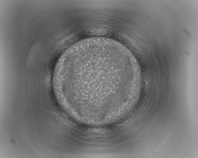 X0000115510745200911271430