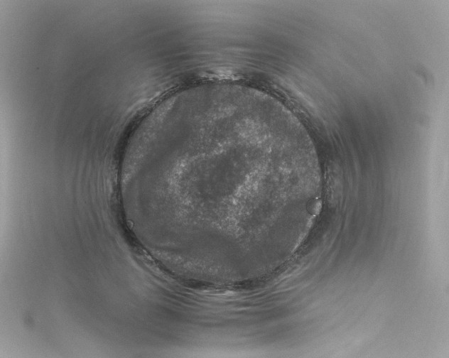 X0000115510747200911271430