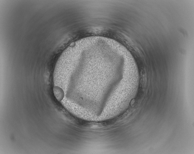 X0000115510750200911271430