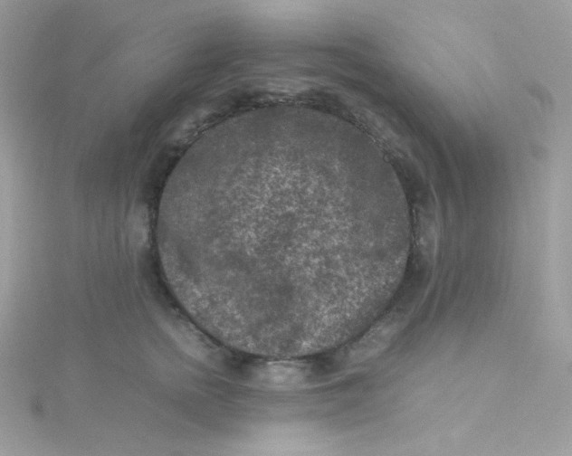 X0000115510758200911271430